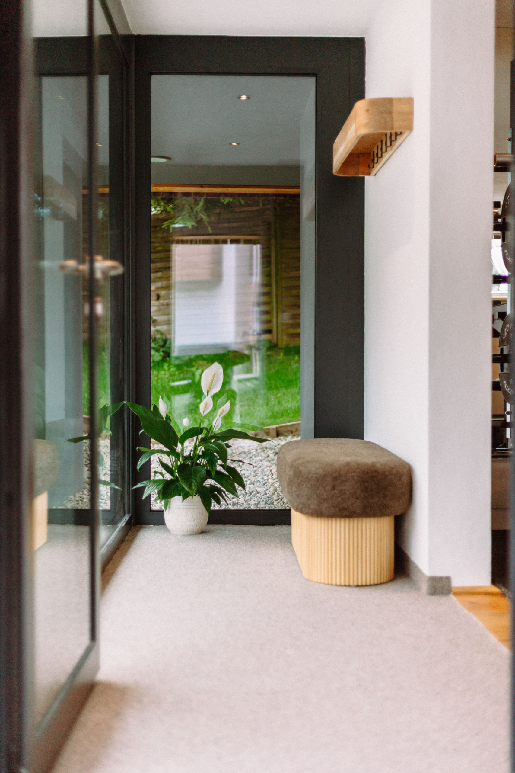 Heller Eingangsbereich mit Pflanze und gemütlicher Sitzgelegenheit